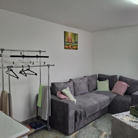 Vila Mir 피로트 외부 사진